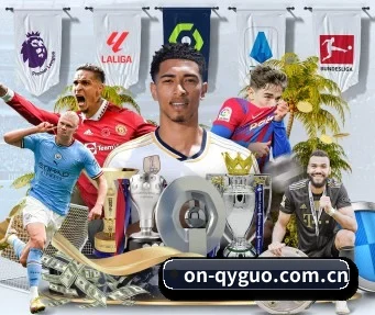 on-qyguo.com.cn APP 界面
